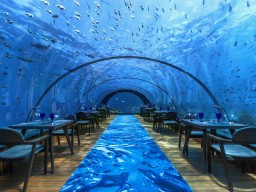 Erleben Sie im Unterwasserrestaurant 5.8 ein Dinner der Extraklasse.